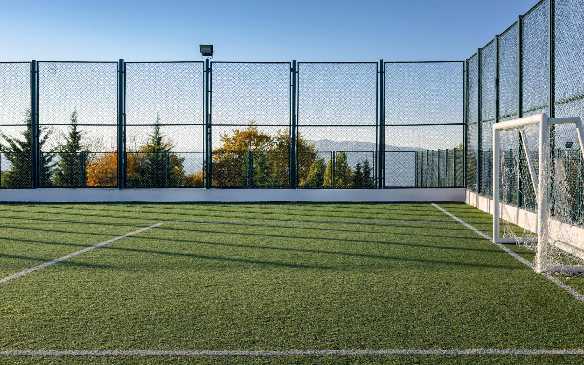 沙马基宫色拉迪尔酒店 Seredil 外观 照片 The artificial grass pitch at the University of Novi Sad